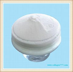 collagen protein