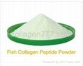 collagen powder 1