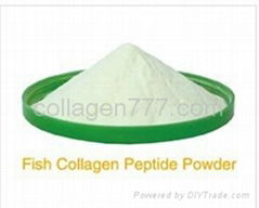 collagen powder