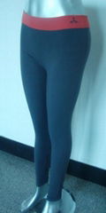 SPORTS LEGGING 