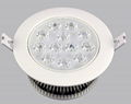 12W LED Ceiling Light