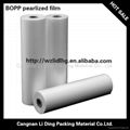 Ice Cream Packing Material - Pearlized BOPP Film 1