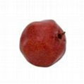 Artificial fruit-Pomegranate 1