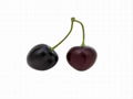 Artificial fruit-Cherries 1