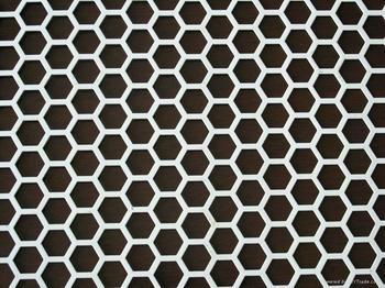 Perforated Metal Mesh 5