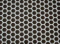 Perforated Metal Mesh 5