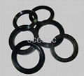 oil seal