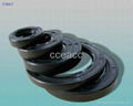 oil seal