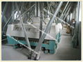 maize processing machine