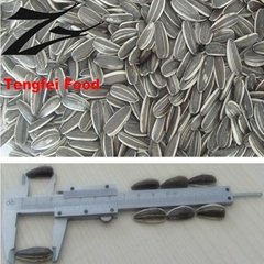 sunflower seeds 5009(24/64 270-290PCS/50G)HOT SALE by FACTORY directly