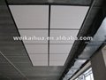 Ceilings T Bar Plane with Blackline System 2