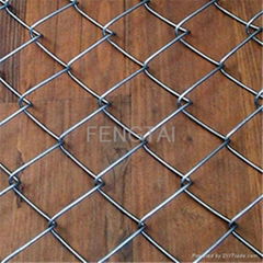 Galvanized Chain Link Fence