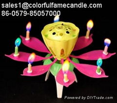 colorful flame birthday candles