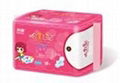 princes diary sanitary napkin