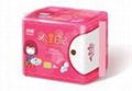 princes diary sanitary napkin 2