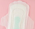 princes diary sanitary napkin 4