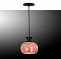 pendant lighting with single-head 1