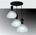 hanging lamps&white pendant lamp/glass lamp  1