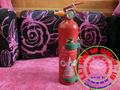 Vehicular Foam Extinguisher 600ml