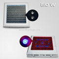 shenzhen led grow light green blue color #ZT-CDL-G300W 1