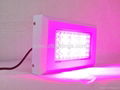 shenzhen led grow light green blue color #ZT-CDL-G300W 2