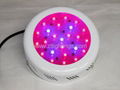 shenzhen led grow light green blue color #ZT-CDL-G300W 4