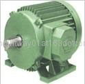 dc servo motor