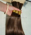 Human Hair Extensions