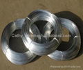 Electro Galvanized Wire