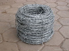 Barbed Wire