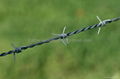 Barbed Wire 2