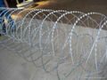 Razor Barbed Wire 2