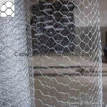 Hexagonal Wire Mesh