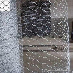 Hexagonal Wire Mesh