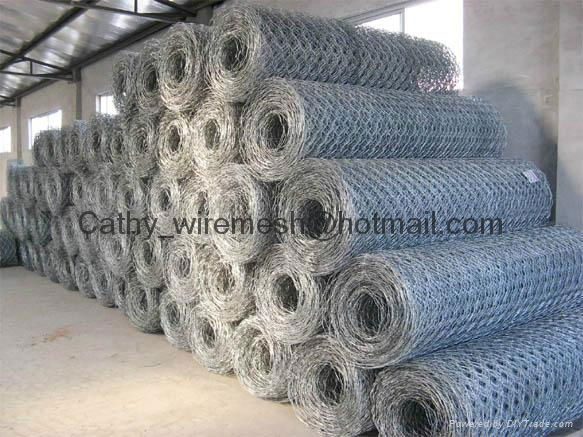 Hexagonal Wire Mesh 2