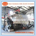 industrial coal fired steam  water combi boiler  4