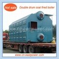Full-automatic double drum chain grate boiler for coal or biomass  2