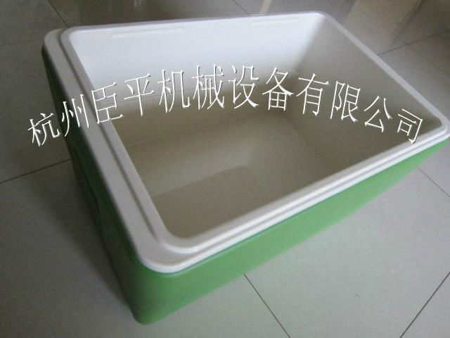 Organic vegetable distribution box 5