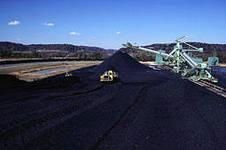 Steam coal