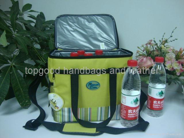 2013 new style cans cooler bag for food wine  3