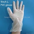 Medical EXAMINATION disposable PVC gloves from Yangzhou 1