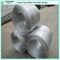 Galvanized wire with best price(manufacturer)