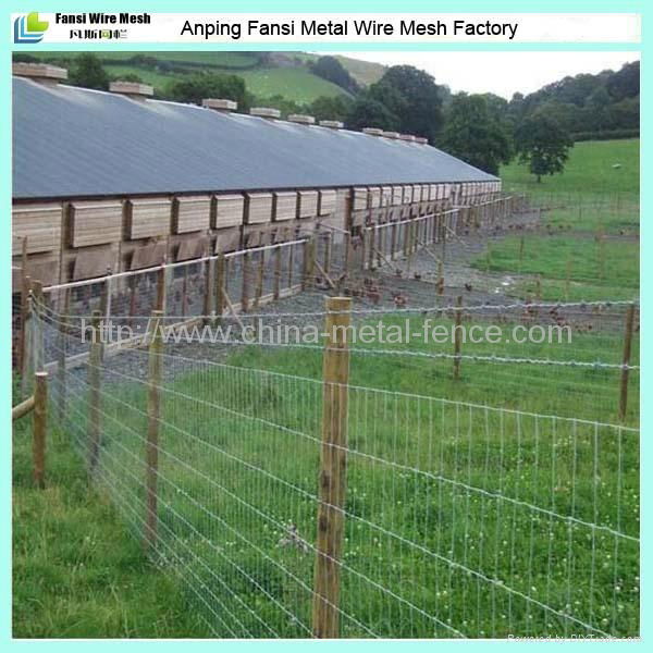 High tensile hot dipped galvanized pasture fences 2