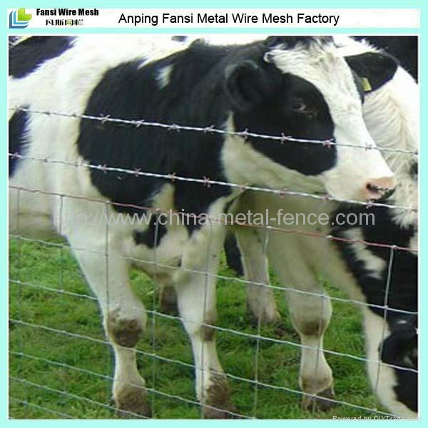 High tensile hot dipped galvanized pasture fences 4