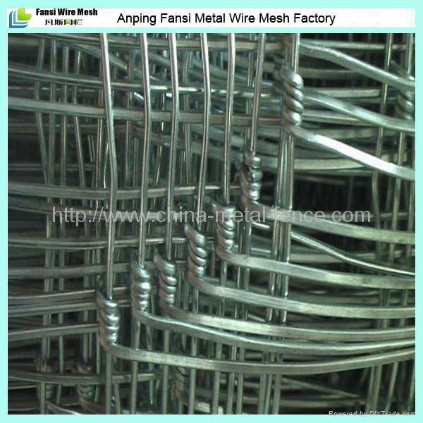 High tensile hot dipped galvanized pasture fences 5