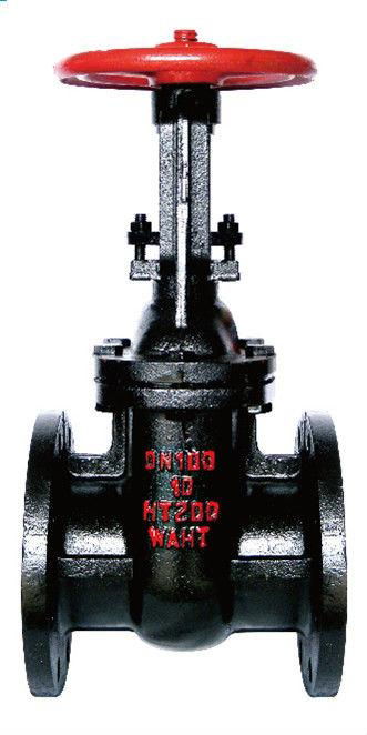 Rising stem wedge gate valve