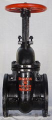 GOST Cast Iron Gate Valve