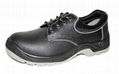 Low Ankle and Steel Toe Safety Shoes,