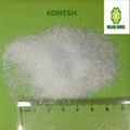 99% up monosodium glutamate (msg) supplier 2