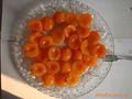 CANNED HALVES APRICOTS IN SYRUP